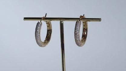 Stone Hoop Earrings